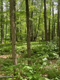 $795,000 | 0 Whites Hl Road, Great Barrington, MA 01230