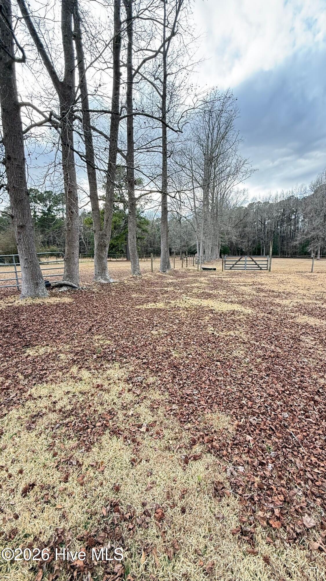 1068 Harrell's Loop Road Jacksonville, NC 28540 - Photo 25 of 28 field 2