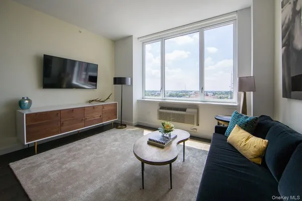 $3,750 | 1 3rd, Unit 921, Mineola, NY 11501