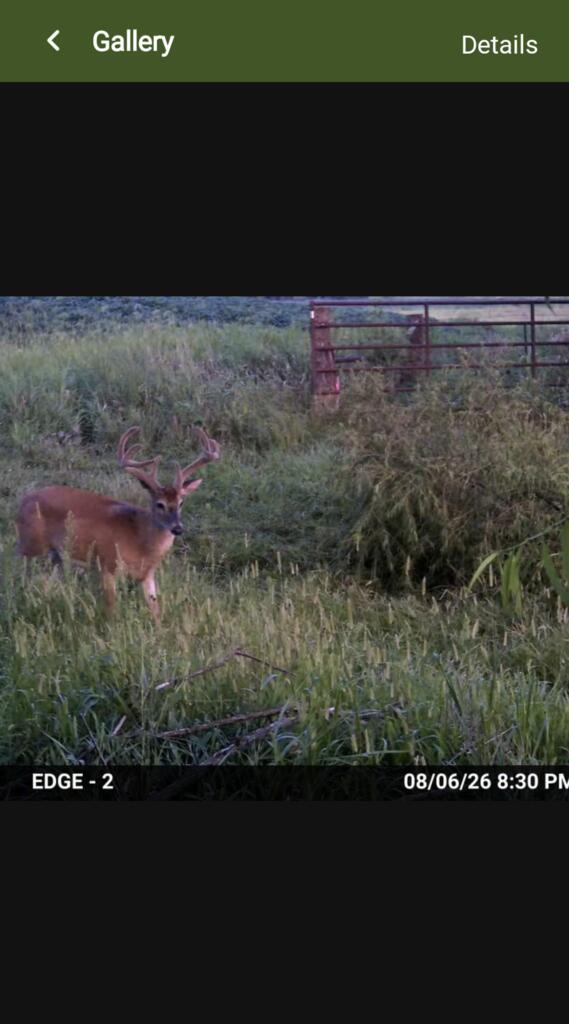 Xxx Peacock Road Greentop, MO 63546 - Photo 14 of 35 Gallery Image 14