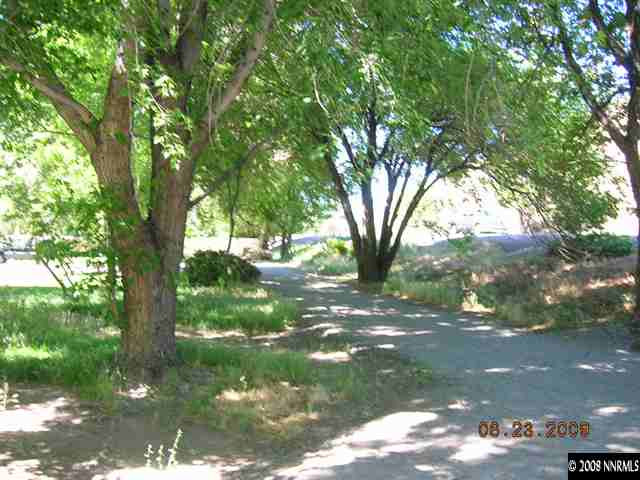 17900 South Virginia Street Reno, NV 89521 - Photo 3 of 9 a view of tree