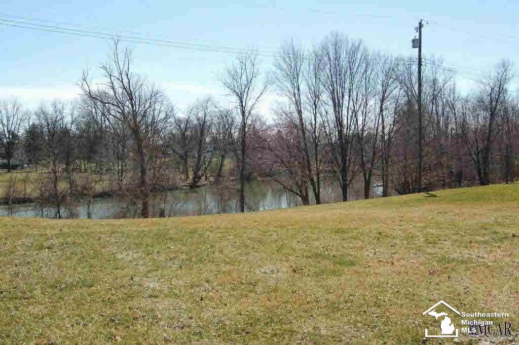323 Riley Street Dundee, MI 48131 - Photo 6 of 16