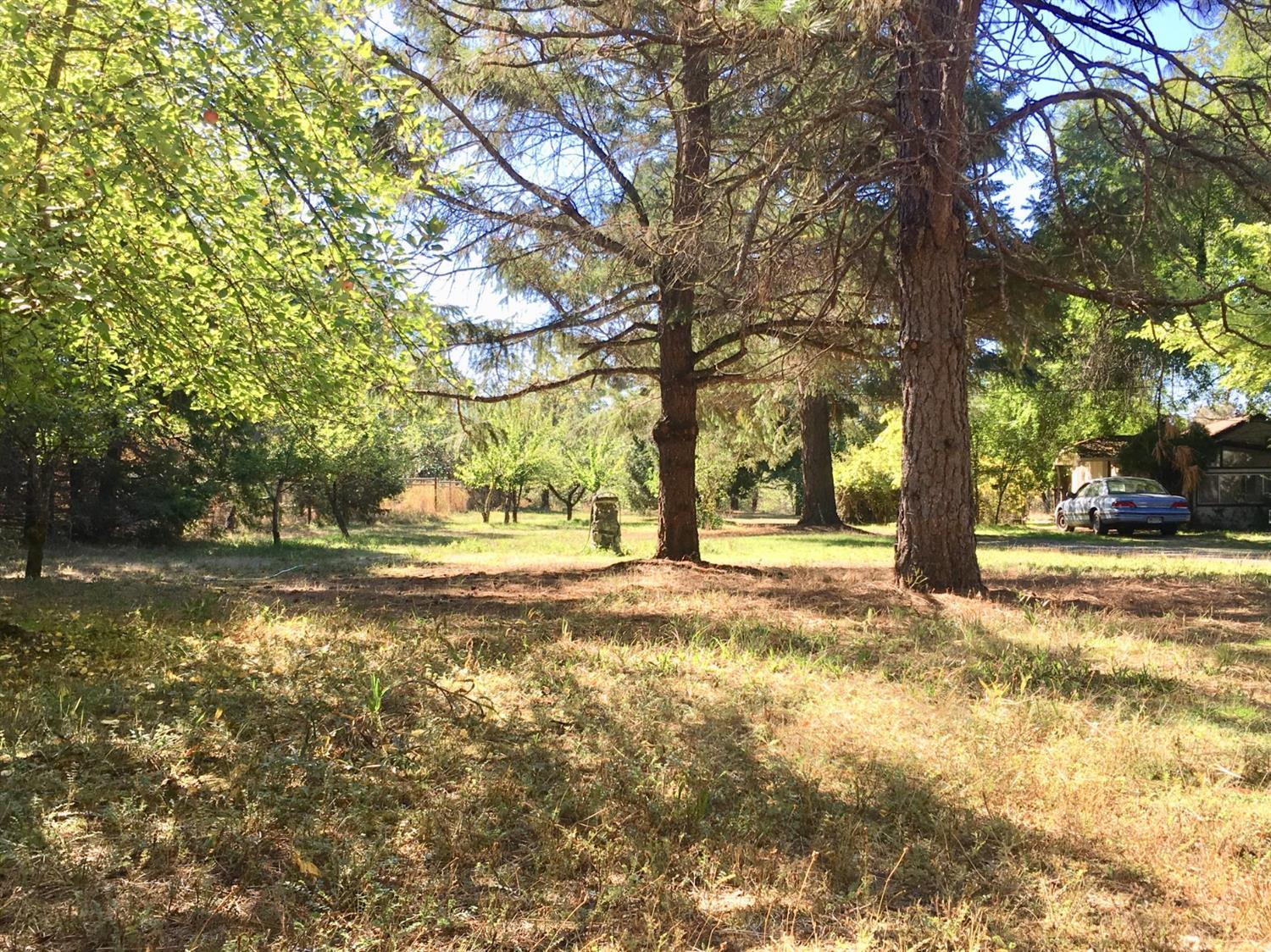 300 Grange Road Grants Pass, OR 97526 - Photo 10 of 27 a view of yard with trees