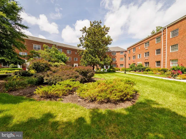 a view of a yard with plants and large trees
