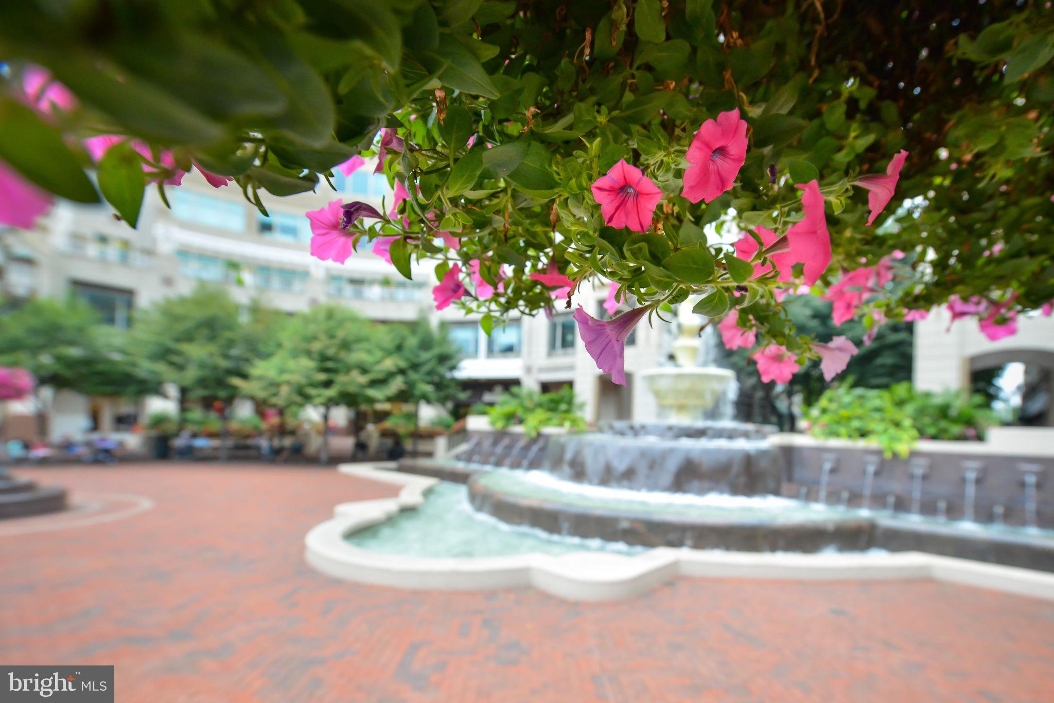 12000 Market Street, Unit 266 Reston, VA 20190 - Photo 39 of 49 Nice park