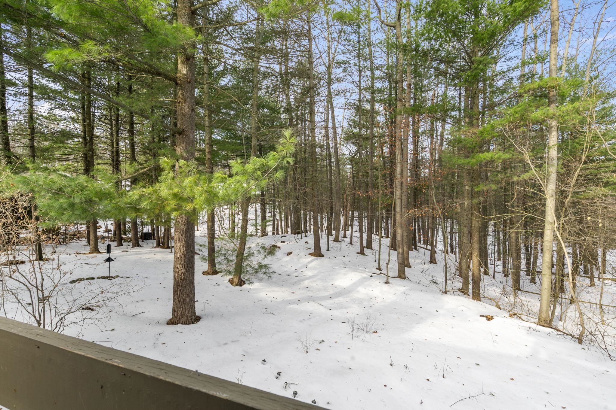 6475 Mission Ridge Traverse City, MI 49686 - Photo 43 of 56