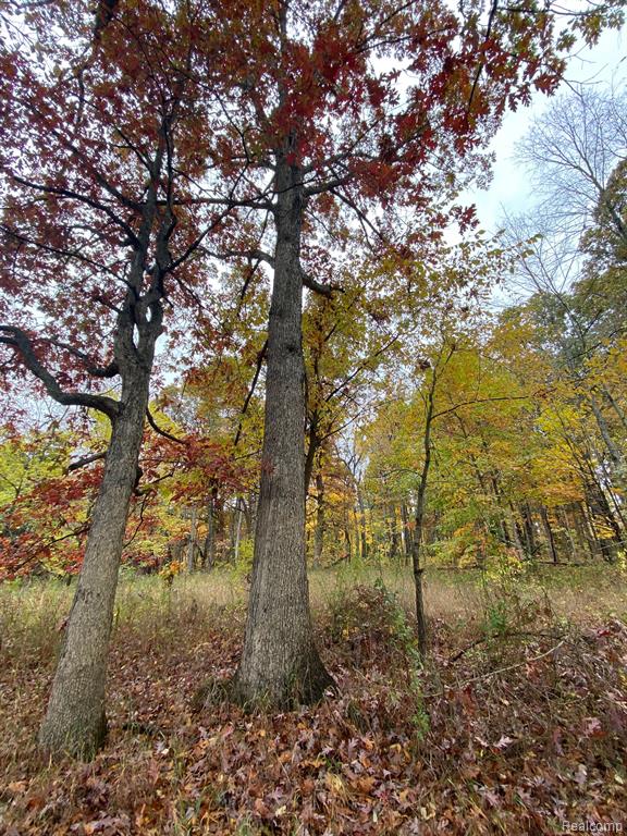 Lot 21 Deer Ridge Trail Howell, MI 48843 - Photo 9 of 17