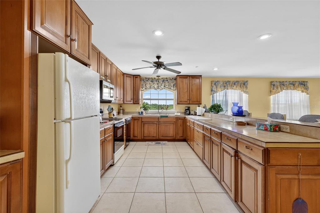 17269 Southeast 260th Avenue Road Umatilla, FL 32784 - Photo 88 of 99