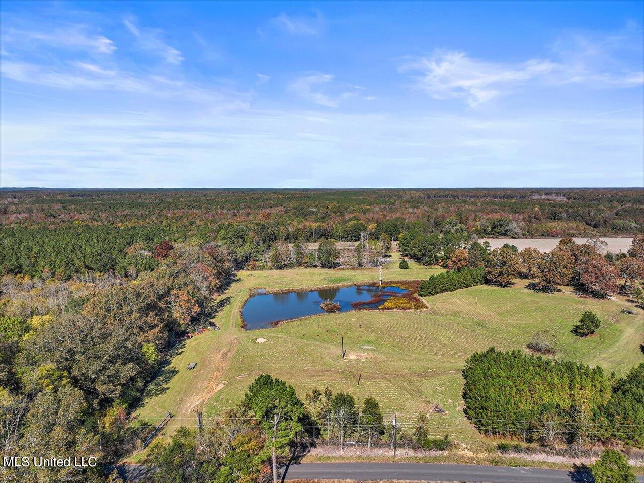 325 Hurdle Road Pelahatchie, MS 39145 - Photo 1 of 44 01-320 Hurdle Rd