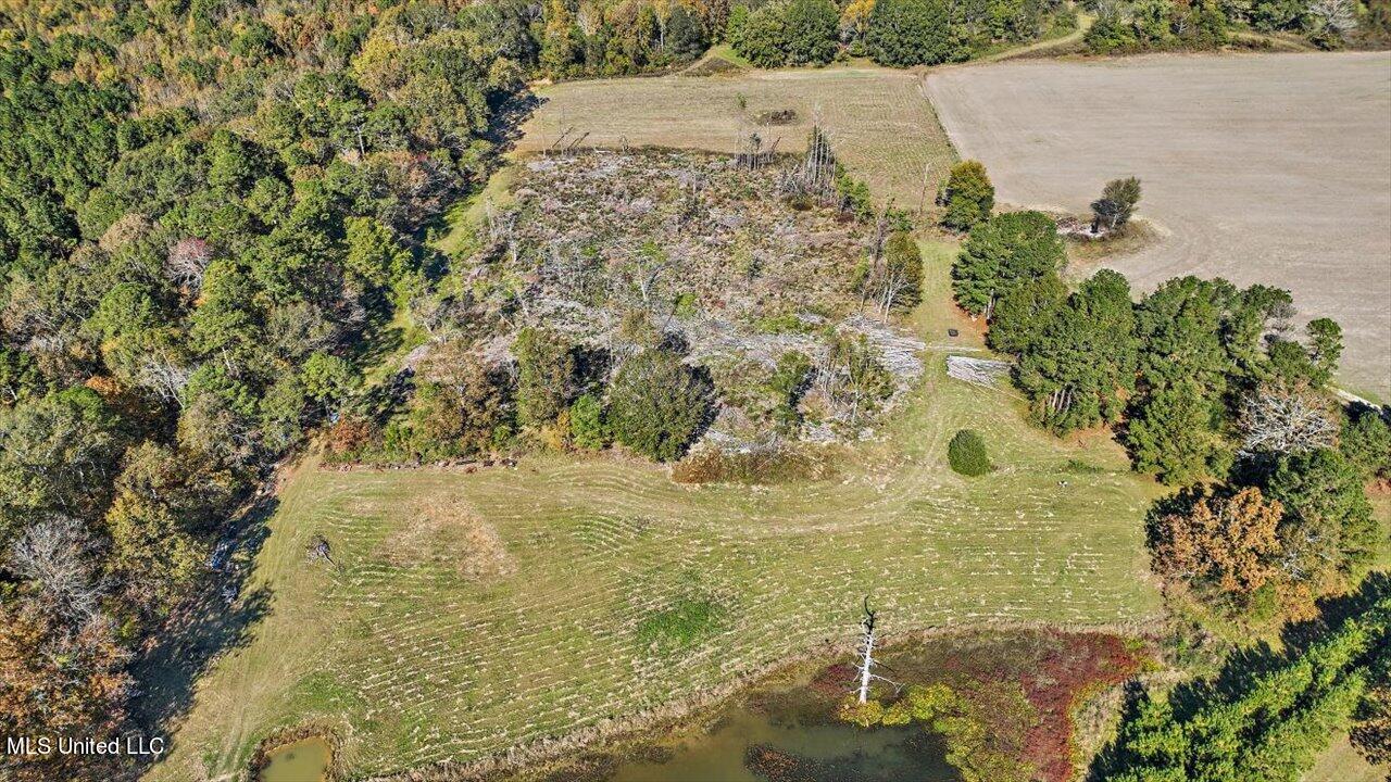 325 Hurdle Road Pelahatchie, MS 39145 - Photo 11 of 44 11-320 Hurdle Rd