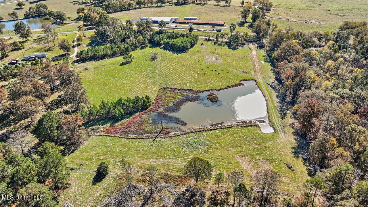 325 Hurdle Road Pelahatchie, MS 39145 - Photo 13 of 44 13-320 Hurdle Rd