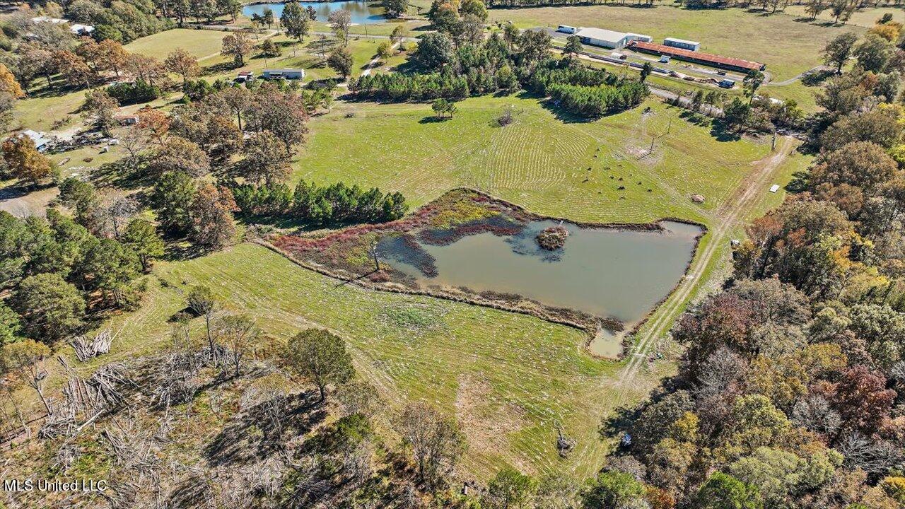 325 Hurdle Road Pelahatchie, MS 39145 - Photo 14 of 44 14-320 Hurdle Rd