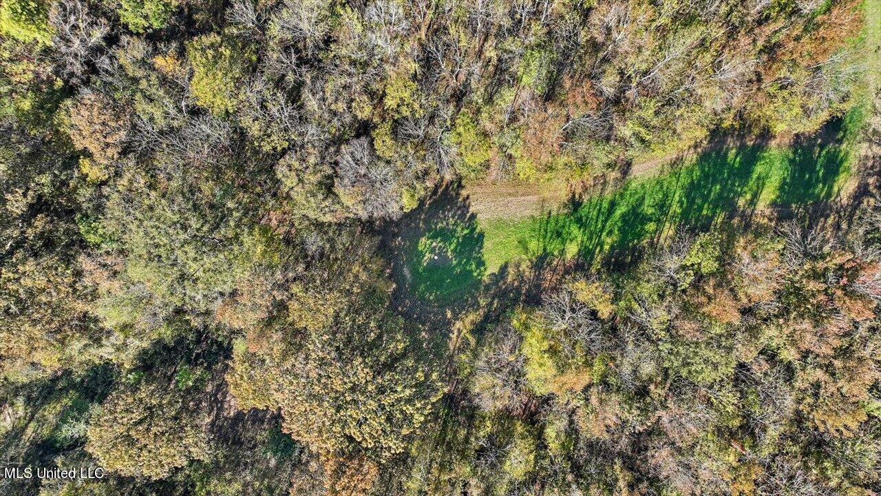 325 Hurdle Road Pelahatchie, MS 39145 - Photo 20 of 44 20-320 Hurdle Rd