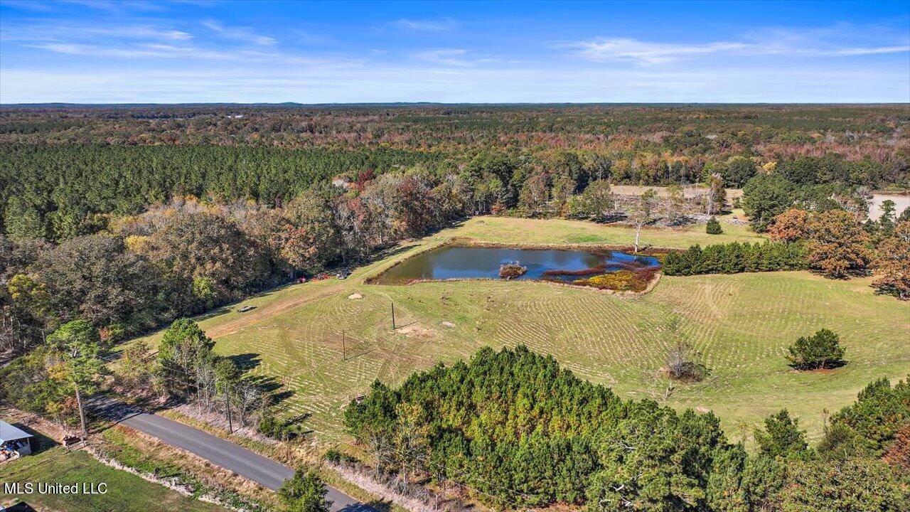 325 Hurdle Road Pelahatchie, MS 39145 - Photo 2 of 44 02-320 Hurdle Rd