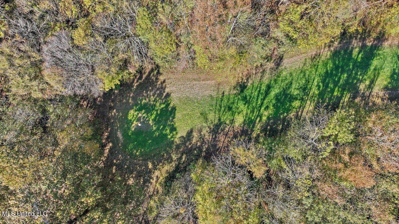 325 Hurdle Road Pelahatchie, MS 39145 - Photo 21 of 44 21-320 Hurdle Rd