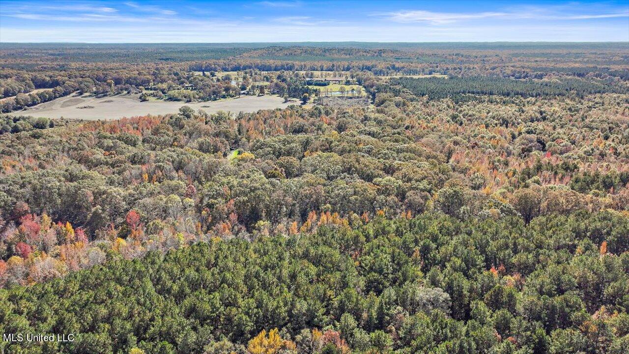 325 Hurdle Road Pelahatchie, MS 39145 - Photo 22 of 44 22-320 Hurdle Rd
