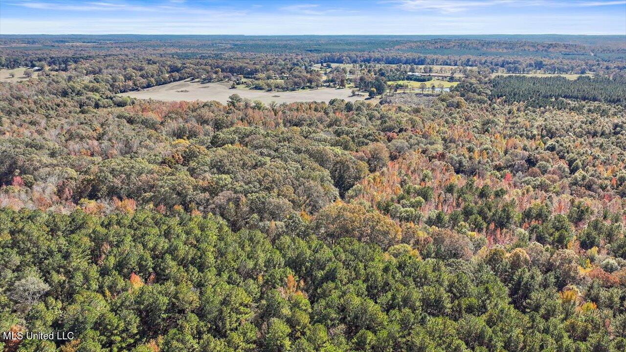 325 Hurdle Road Pelahatchie, MS 39145 - Photo 23 of 44 23-320 Hurdle Rd