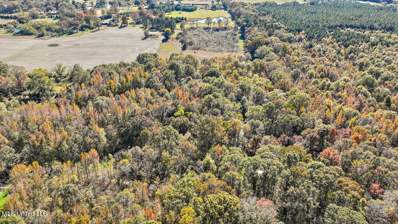 325 Hurdle Road Pelahatchie, MS 39145 - Photo 28 of 44 28-320 Hurdle Rd