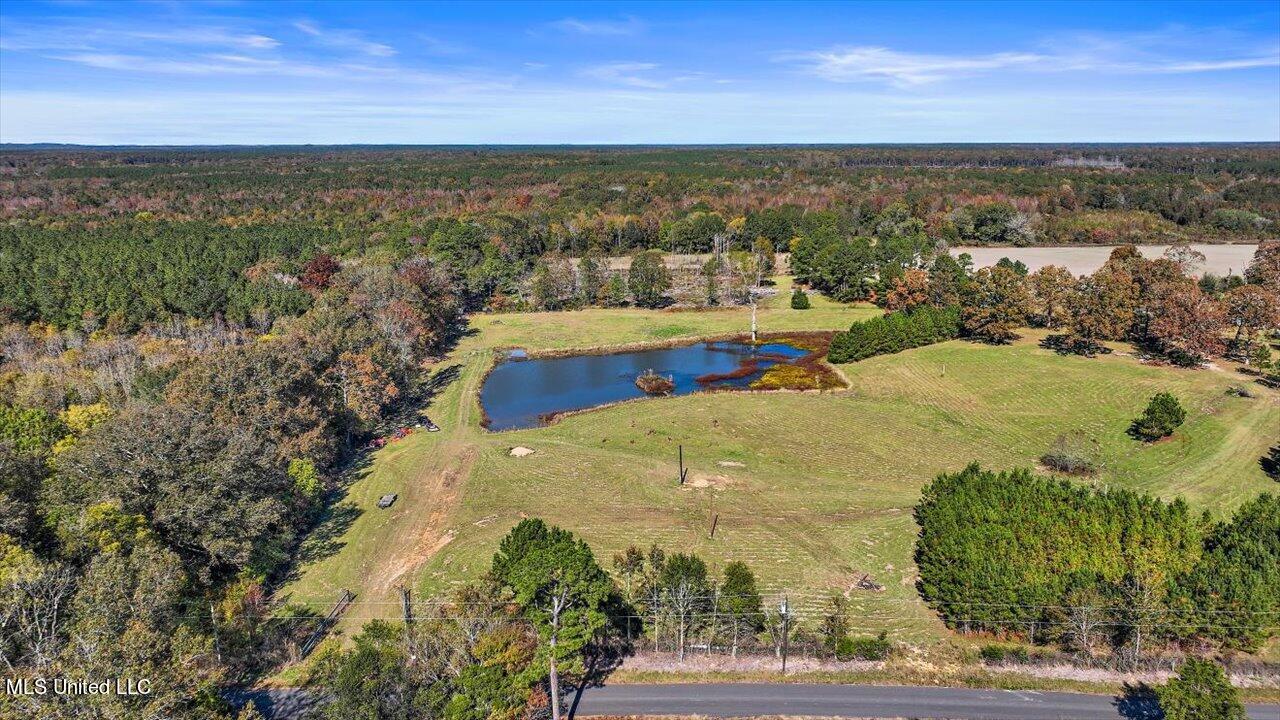 325 Hurdle Road Pelahatchie, MS 39145 - Photo 3 of 44 03-320 Hurdle Rd