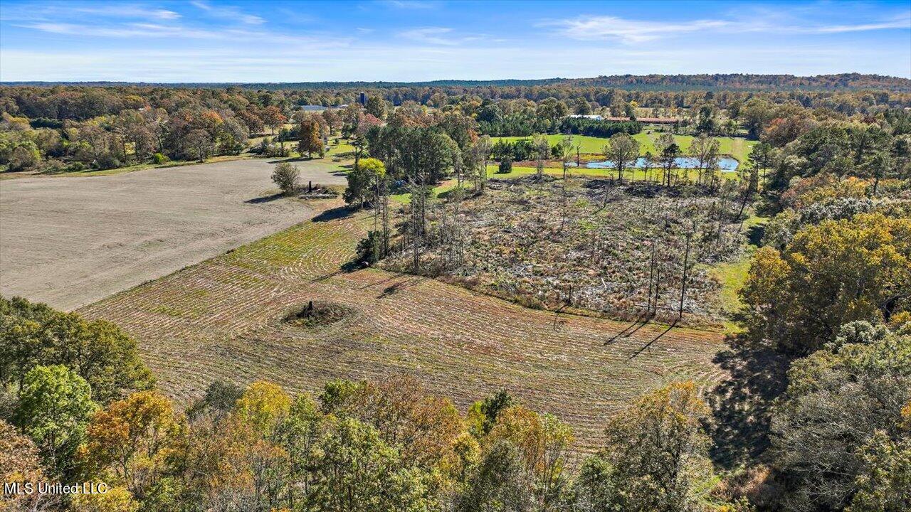 325 Hurdle Road Pelahatchie, MS 39145 - Photo 33 of 44 33-320 Hurdle Rd