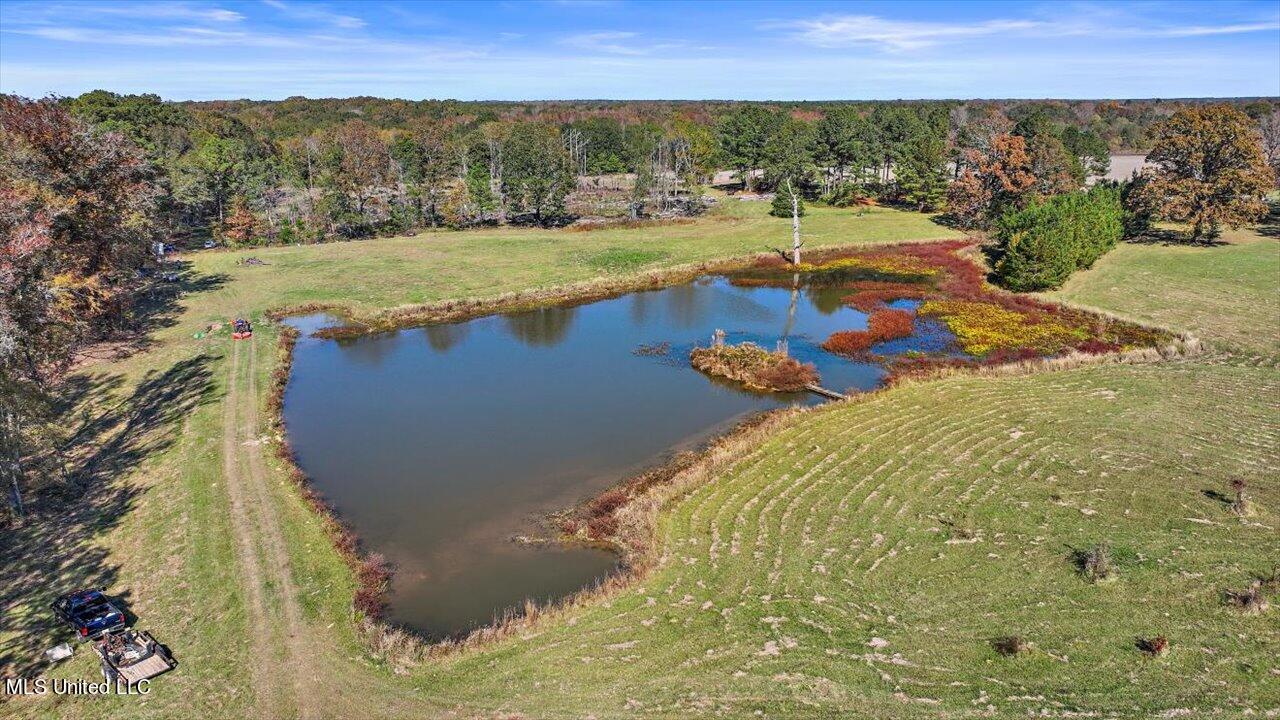 325 Hurdle Road Pelahatchie, MS 39145 - Photo 36 of 44 36-320 Hurdle Rd