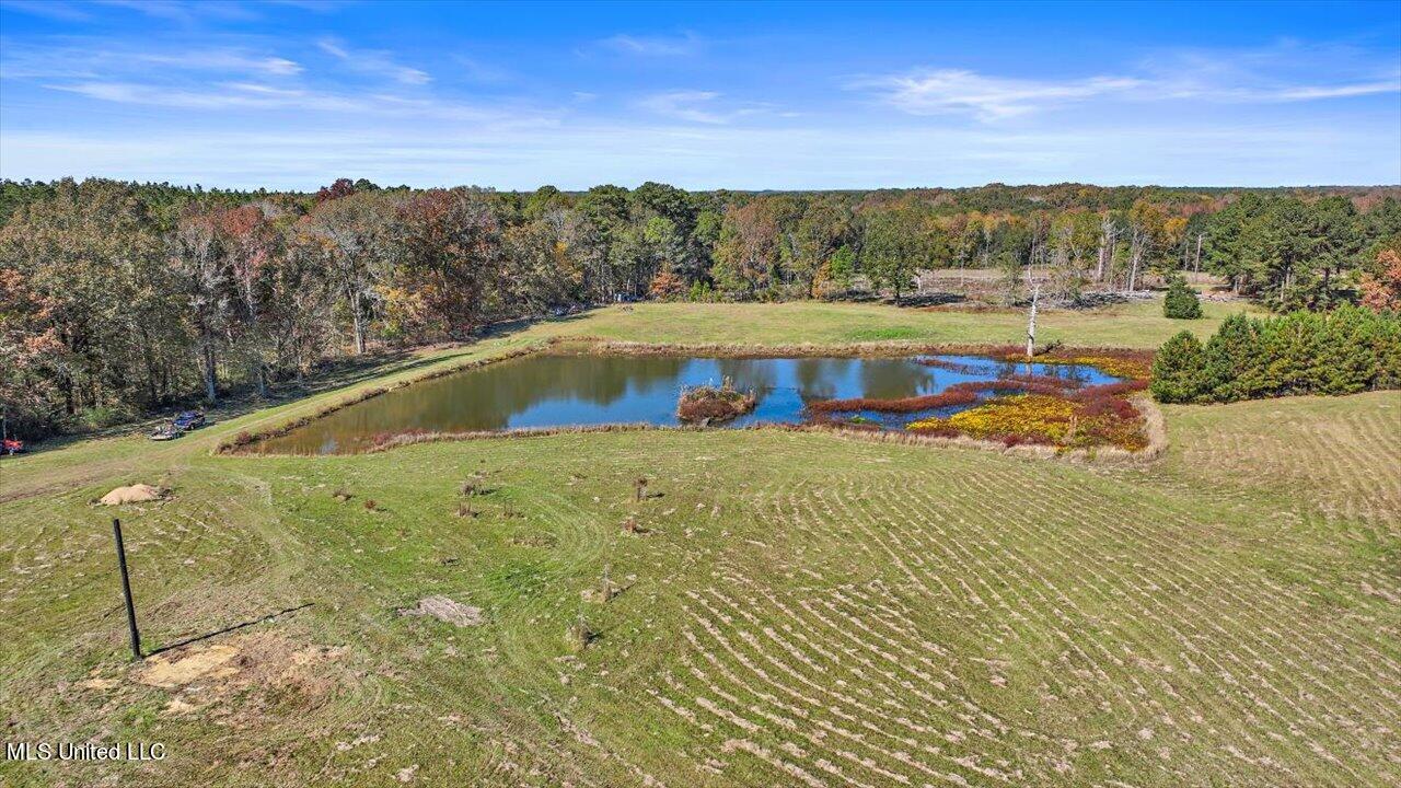 325 Hurdle Road Pelahatchie, MS 39145 - Photo 37 of 44 37-320 Hurdle Rd