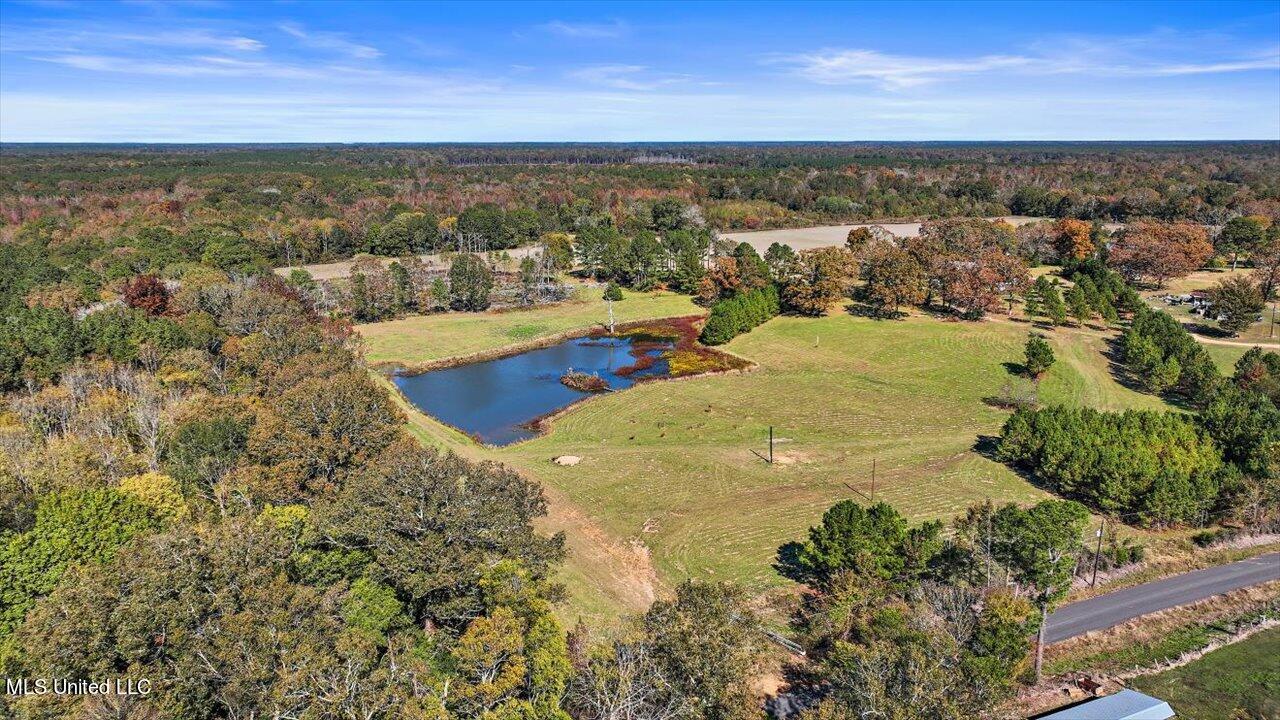 325 Hurdle Road Pelahatchie, MS 39145 - Photo 4 of 44 04-320 Hurdle Rd