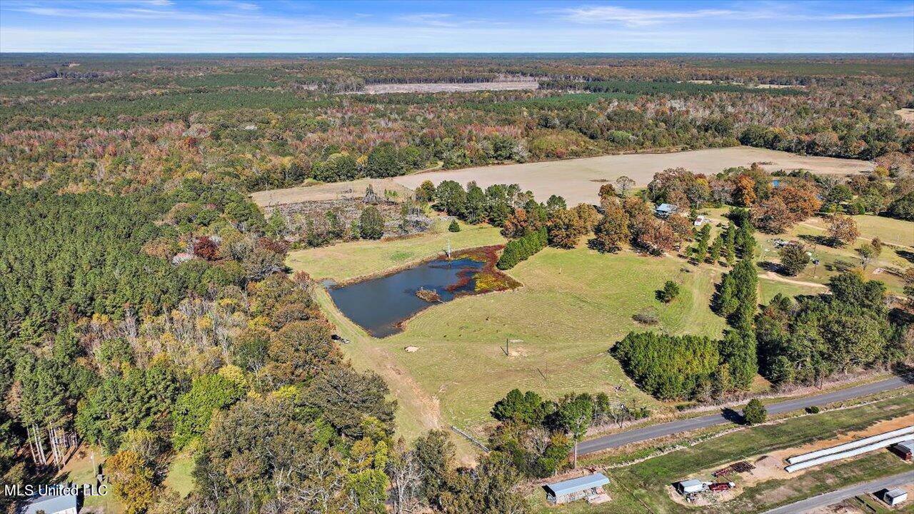 325 Hurdle Road Pelahatchie, MS 39145 - Photo 5 of 44 05-320 Hurdle Rd