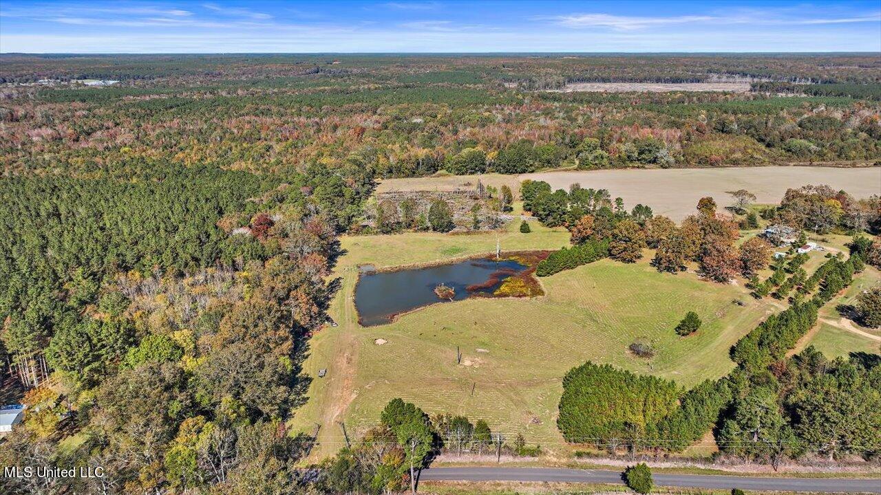 325 Hurdle Road Pelahatchie, MS 39145 - Photo 6 of 44 06-320 Hurdle Rd