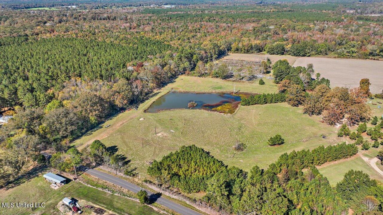 325 Hurdle Road Pelahatchie, MS 39145 - Photo 8 of 44 08-320 Hurdle Rd