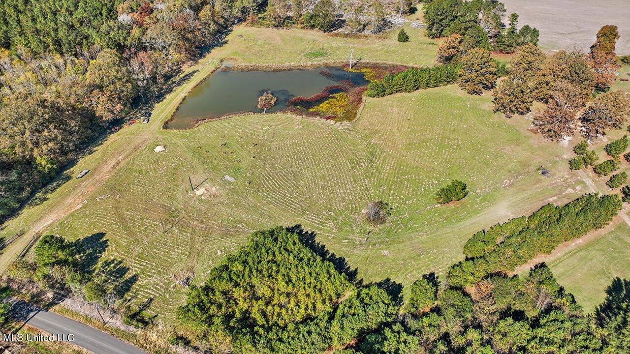 325 Hurdle Road Pelahatchie, MS 39145 - Photo 9 of 44 09-320 Hurdle Rd