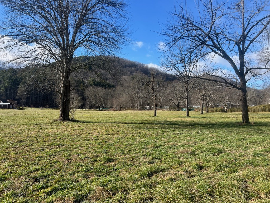 3 Riverside Meadows Hiawassee, GA 30546 - Photo 8 of 22