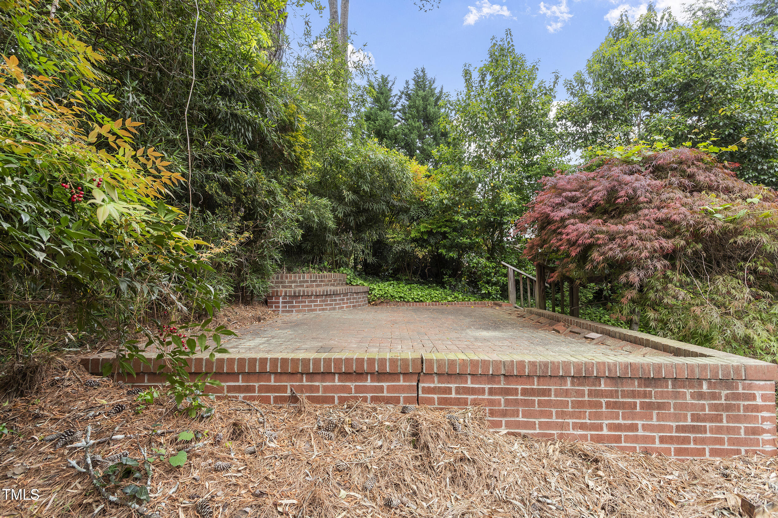 611 Beaver Dam Road Raleigh, NC 27607 - Photo 31 of 36 a view of a yard with plants and trees