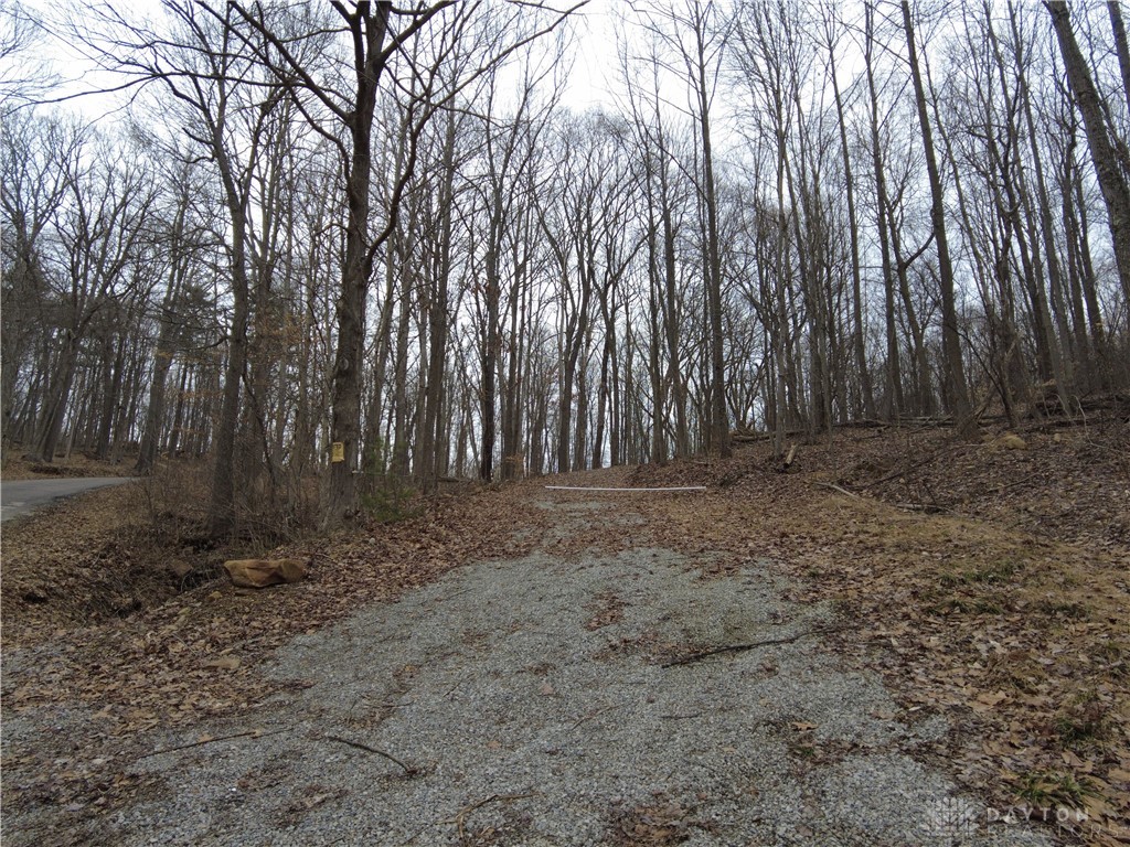 31-ac Green Ridge Road Peebles, OH 45660 - Photo 2 of 23 Gallery Image 2