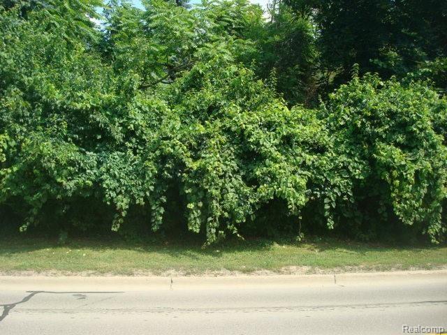 0 East Tienken Road Rochester, MI 48307 - Photo 3 of 9