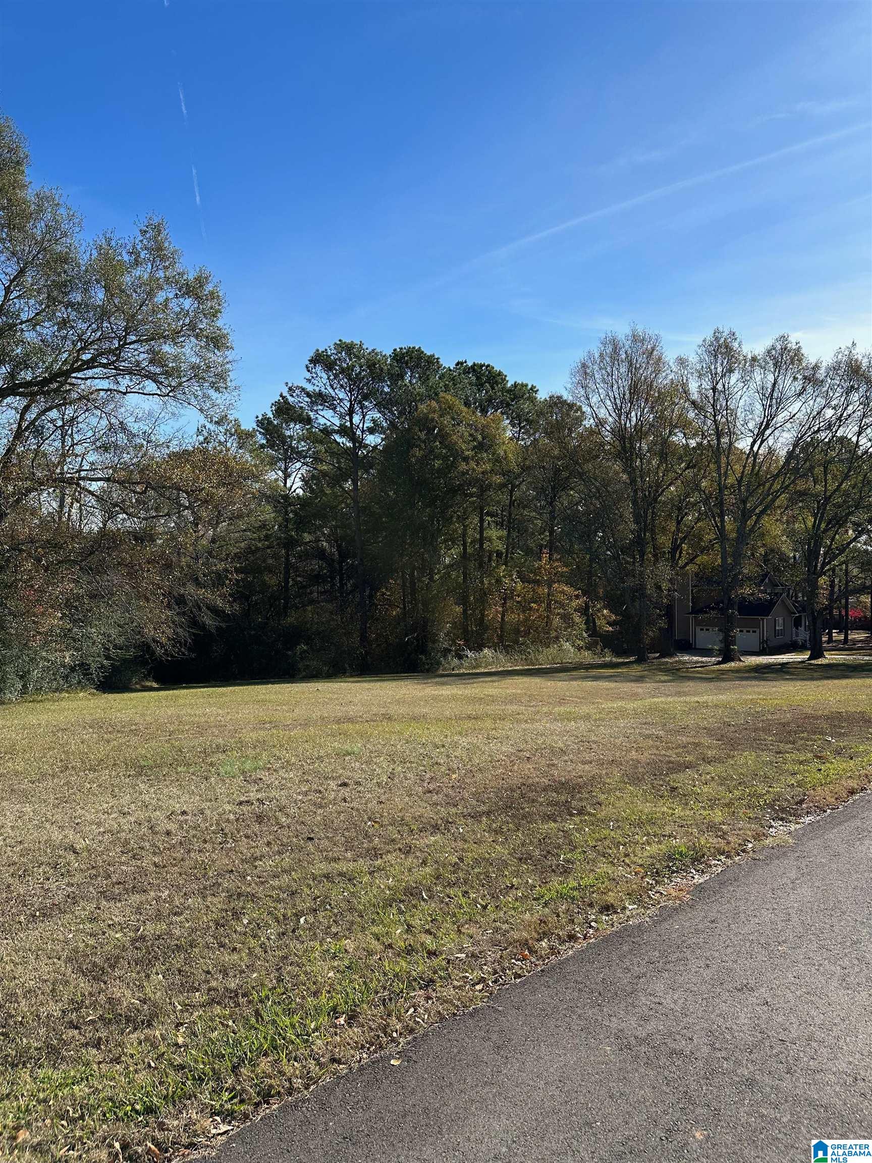 Lot 5 Carleton Point, Unit 5 Wilsonville, AL 35186 - Photo 9 of 12