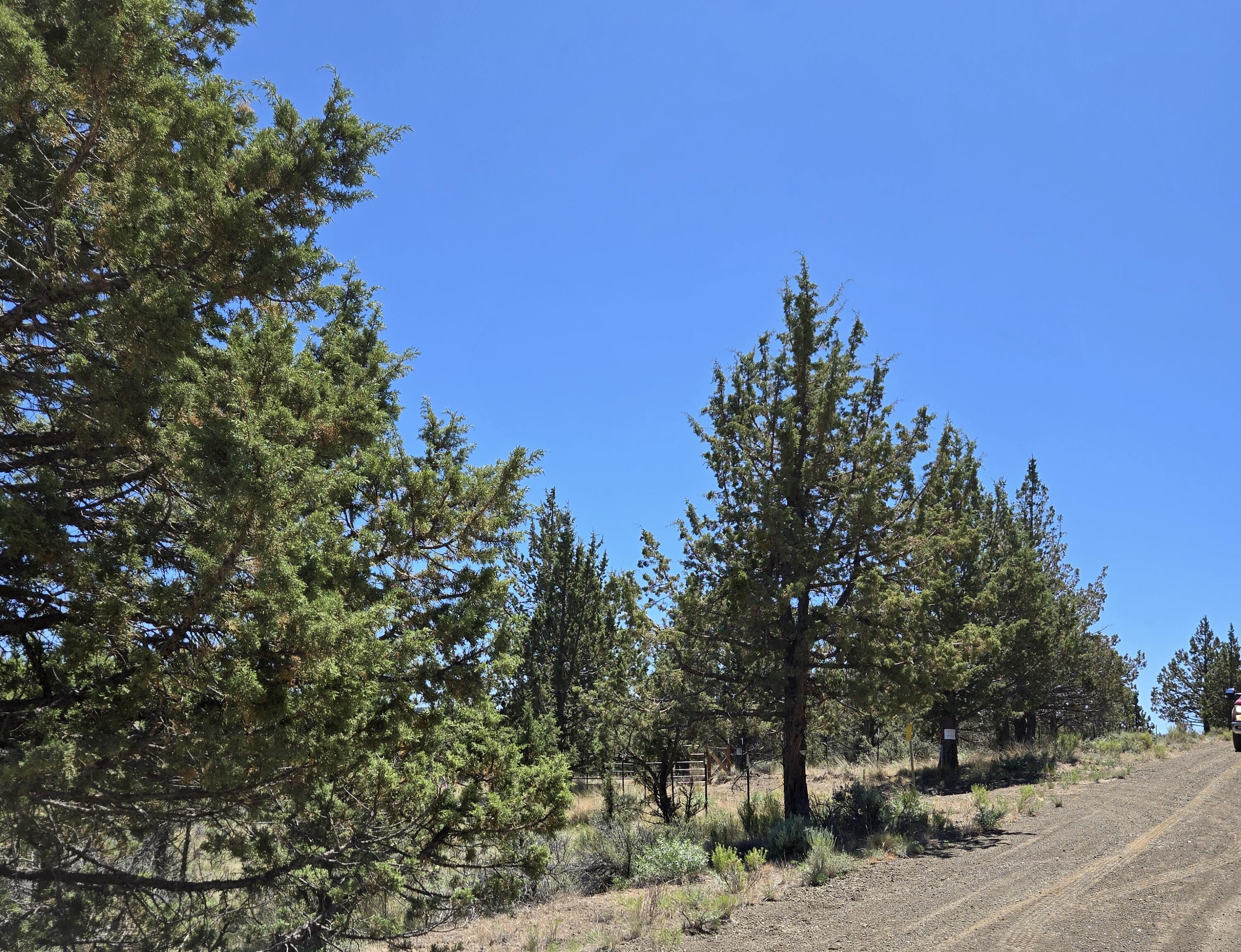 20102 Osprey Road, Unit 800 Prineville, OR 97754 - Photo 16 of 20 20250712_120638