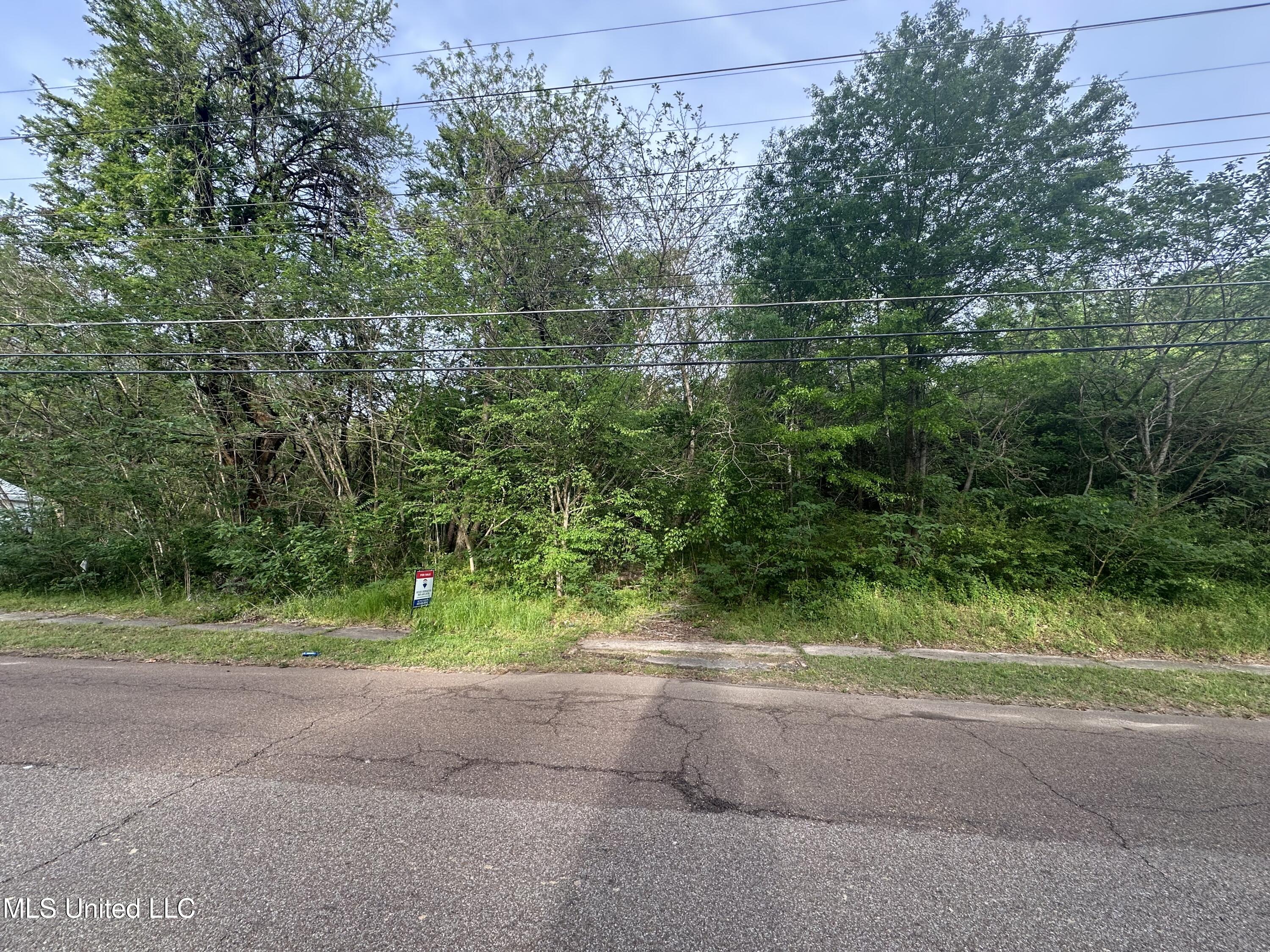 131 West Street Holly Springs, MS 38635 - Photo 4 of 4 IMG_4990