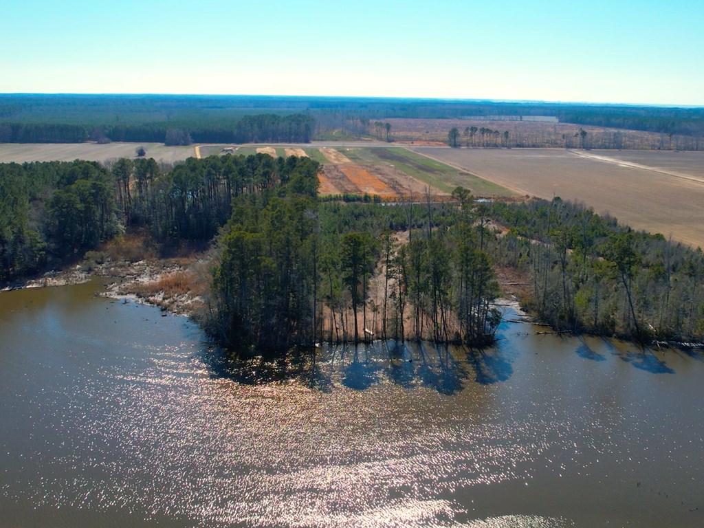 76.19-ac Saxis Road Temperanceville, VA 23442 - Photo 14 of 37