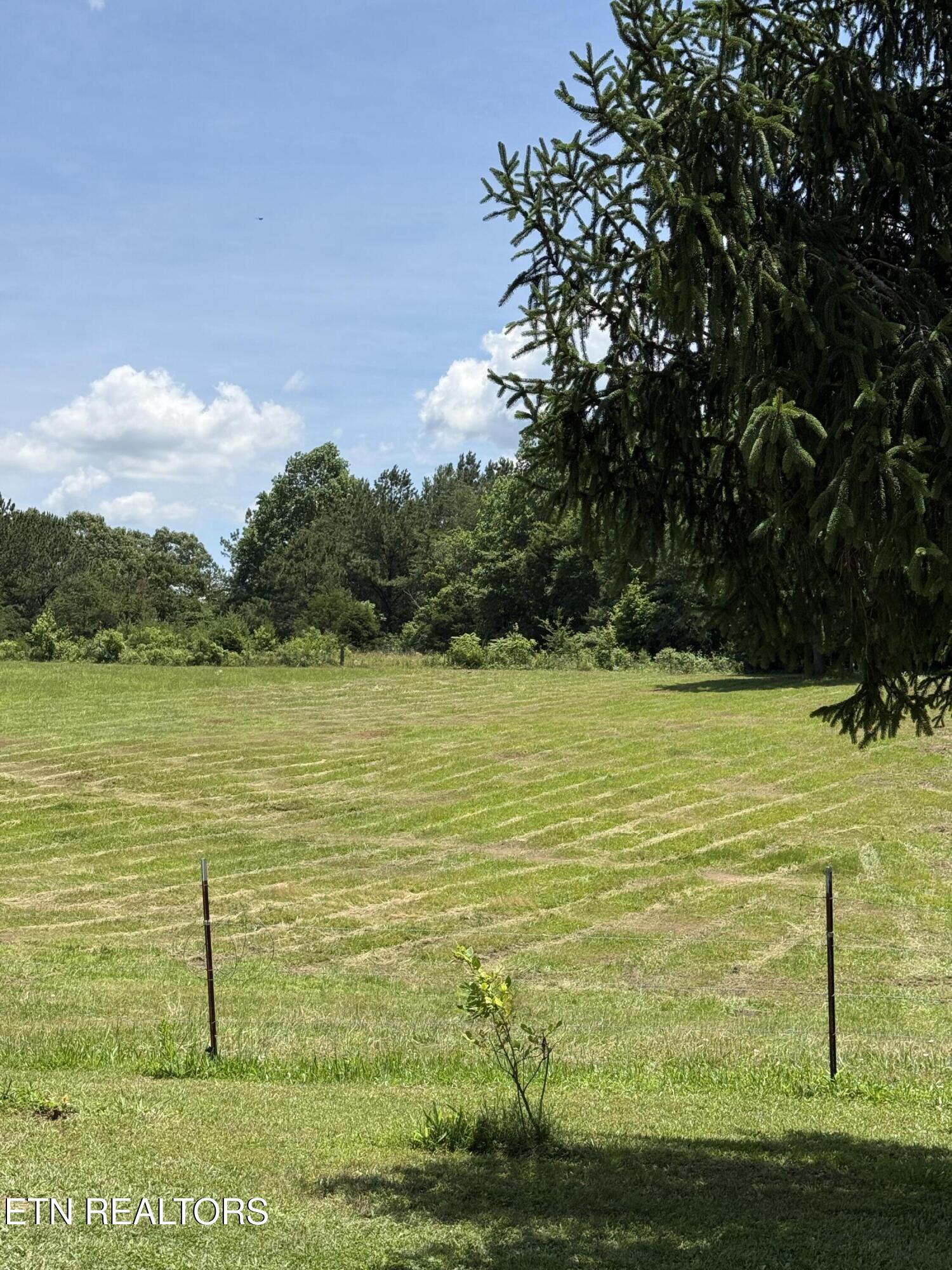 426 County Road 728 Riceville, TN 37370 - Photo 35 of 43 IMG_6442