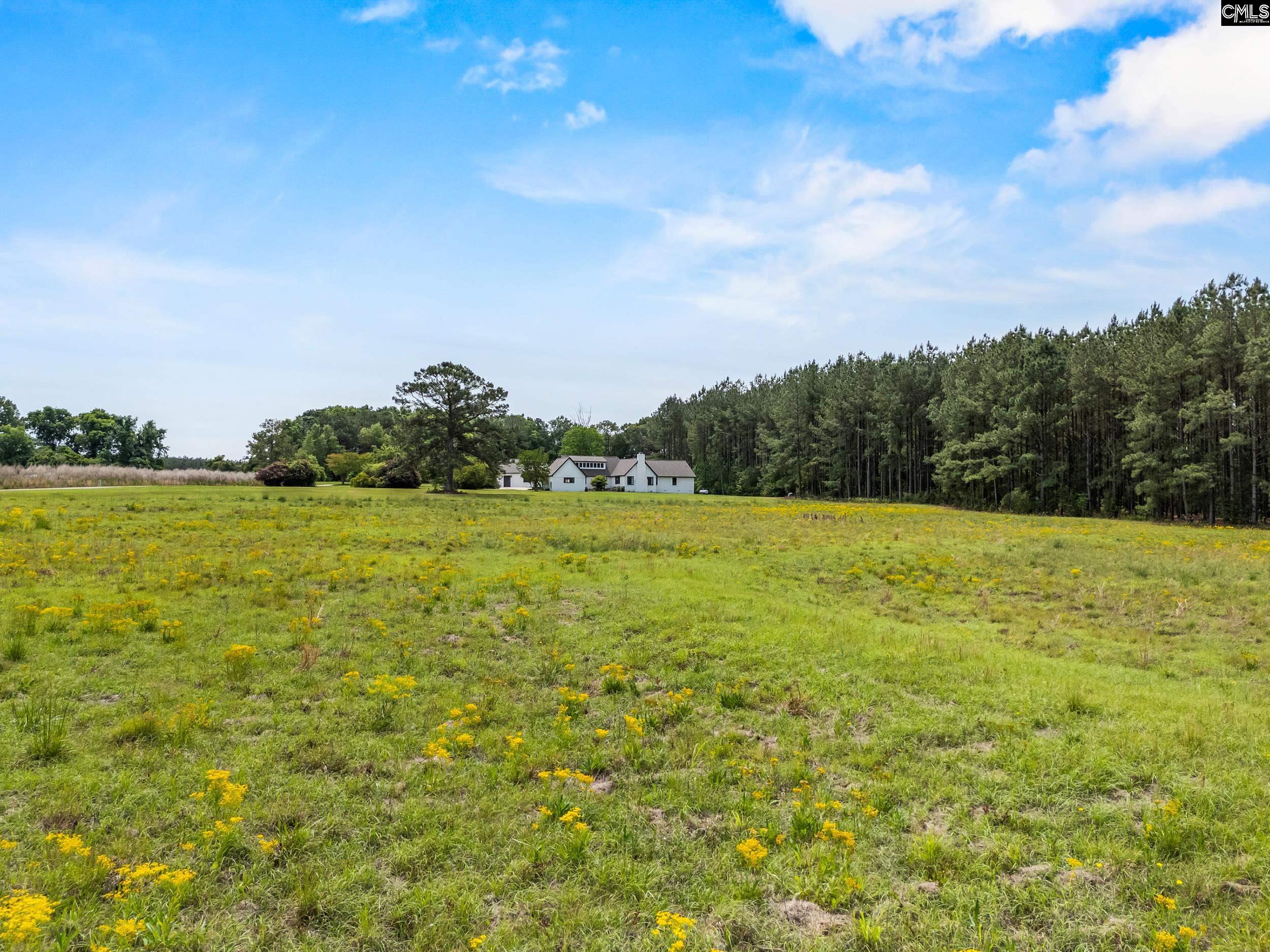 213 Tombfield Road Camden, SC 29020 - Photo 7 of 65