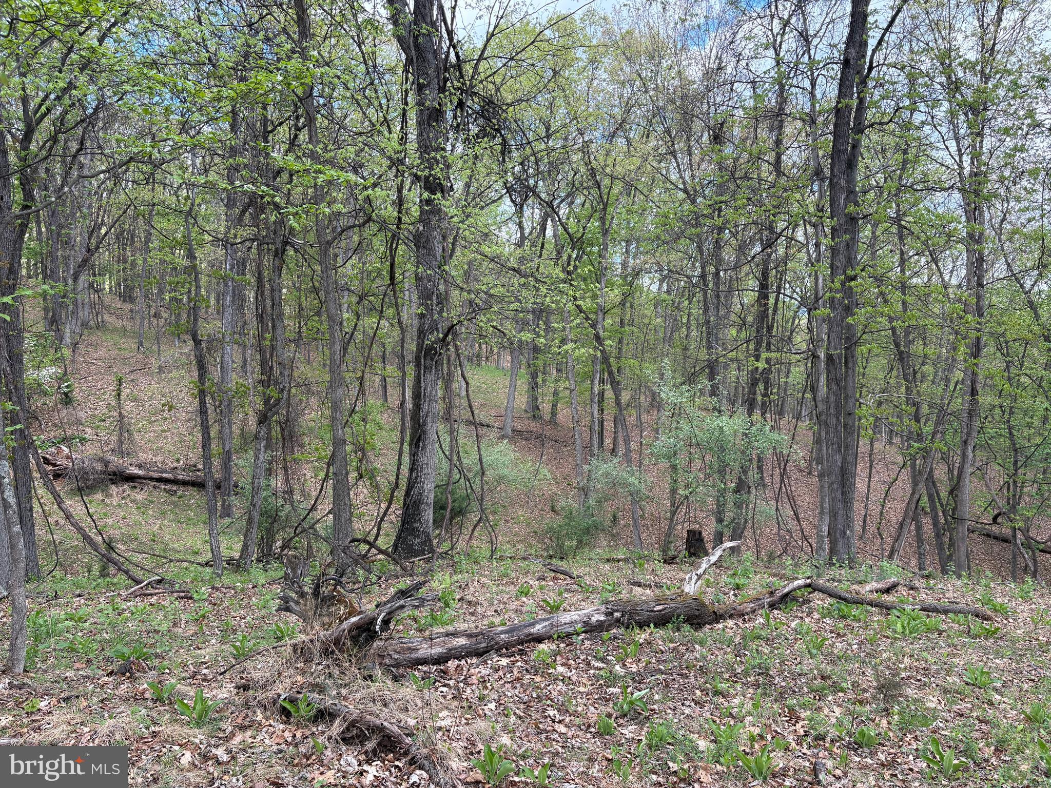 15.02-ac Beam Road Romney, WV 26757 - Photo 13 of 31 Gallery Image 13