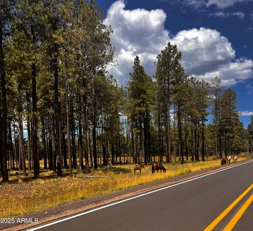 $479,900 | 3361 West Hansen, Show Low, AZ 85901