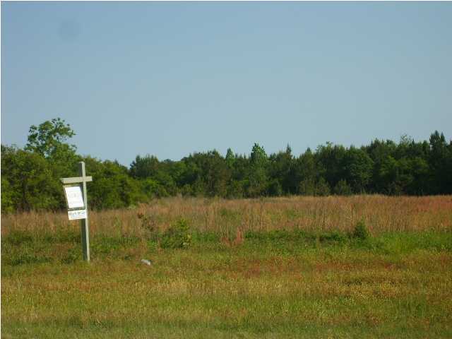 20 Freeport Freeport, FL 32439 - Photo 1 of 2 Gallery Image 1