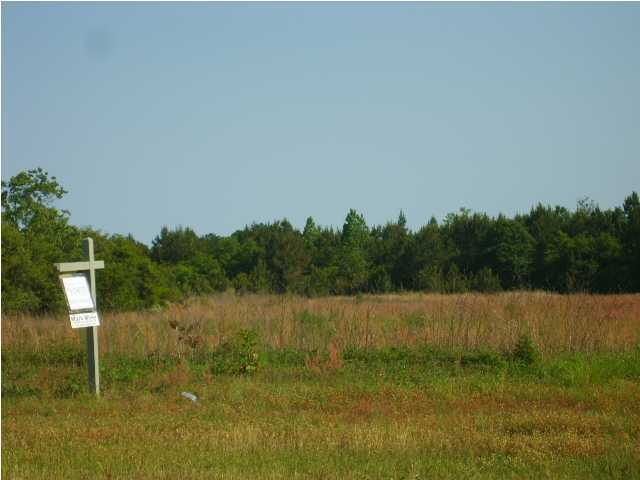 20 Freeport Freeport, FL 32439 - Photo 2 of 2 Gallery Image 2