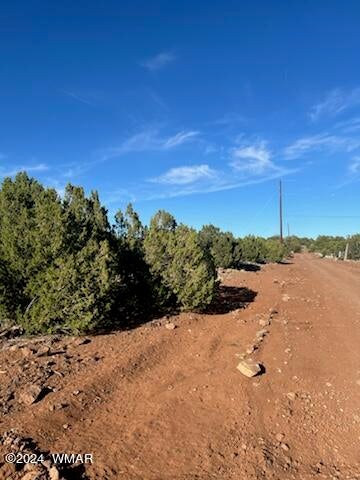 8766 North Clark Road Show Low, AZ 85901 - Photo 1 of 2 Gallery Image 1