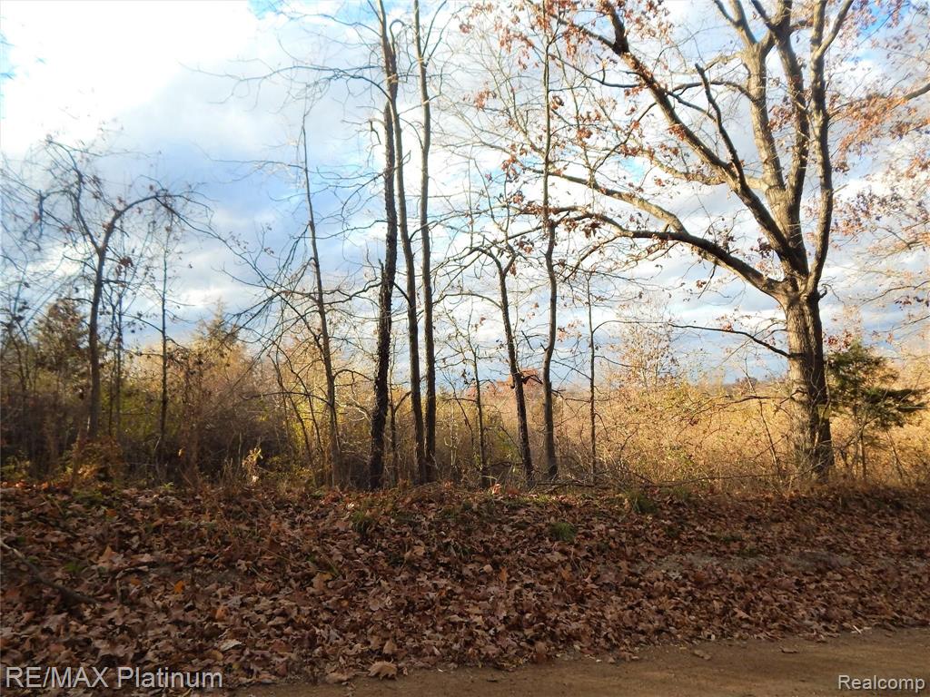 0 Bentley Lake Road Pinckney, MI 48169 - Photo 10 of 24
