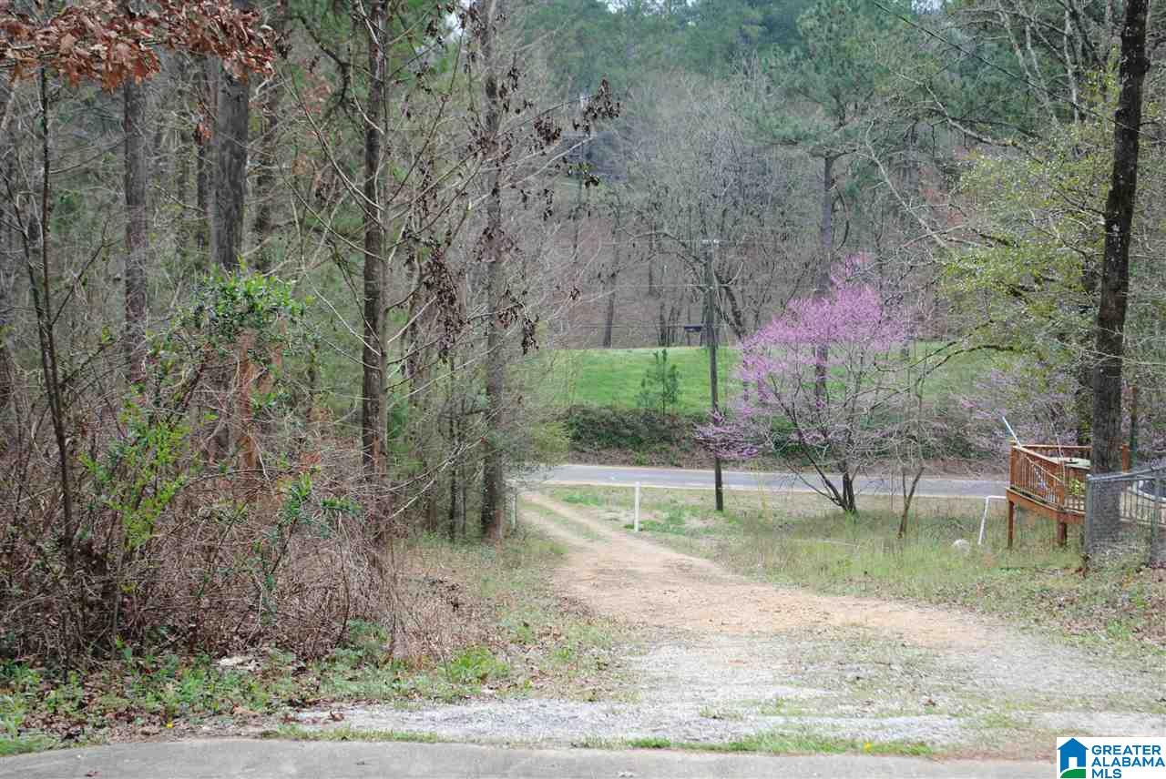 197 Sequoyah Road Pell City, AL 35128 - Photo 2 of 22