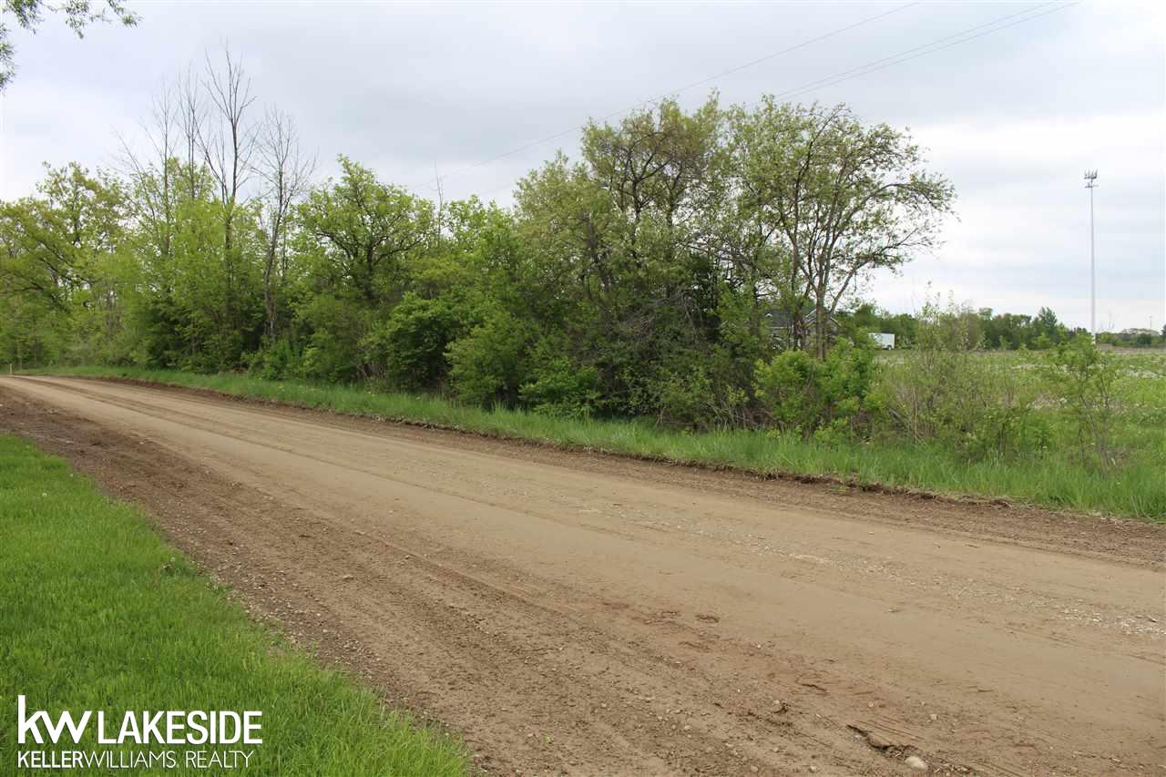 11677 Lambs Road Memphis, MI 48041 - Photo 3 of 4