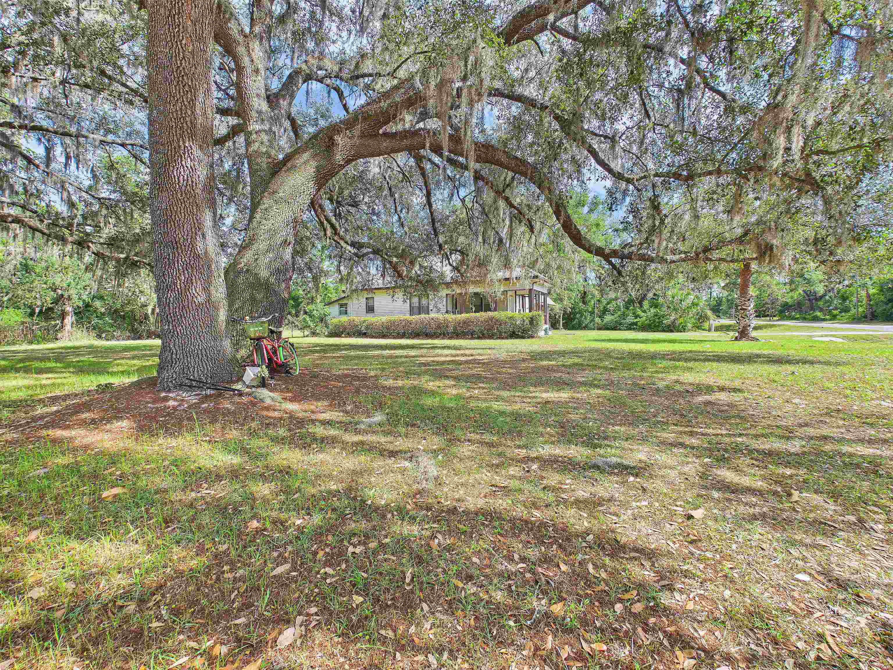 2744 Foley Cut Off Road Perry, FL 32348 - Photo 24 of 28